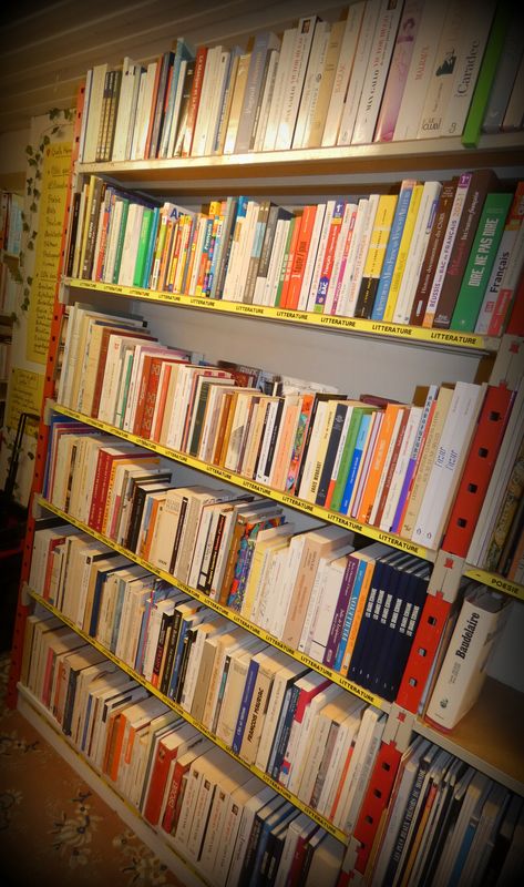 Littérature généralités, biographies et essais littéraires