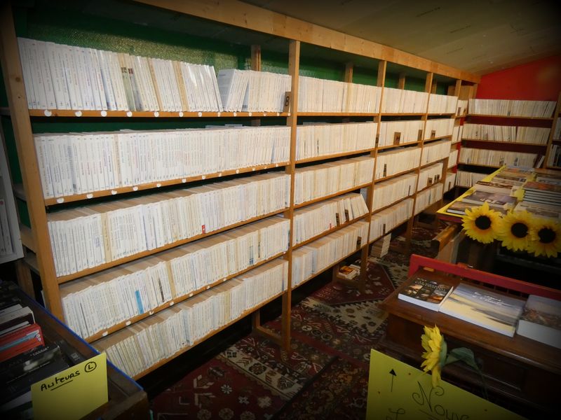 Poches romans, Folio, 10/18