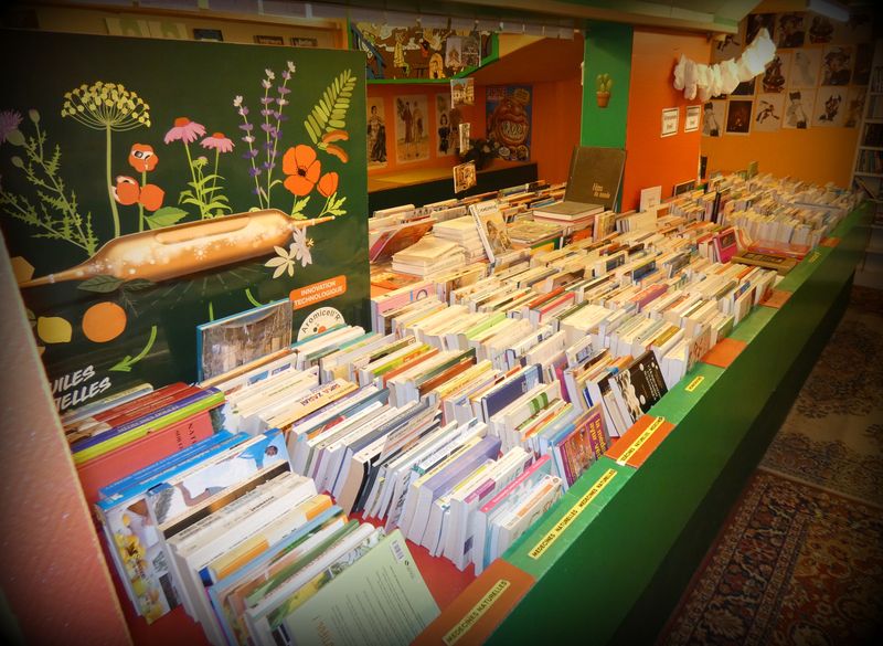 Médecine (études médicales, diététique, médecines naturelles, grossesse éveil, santé, forme)