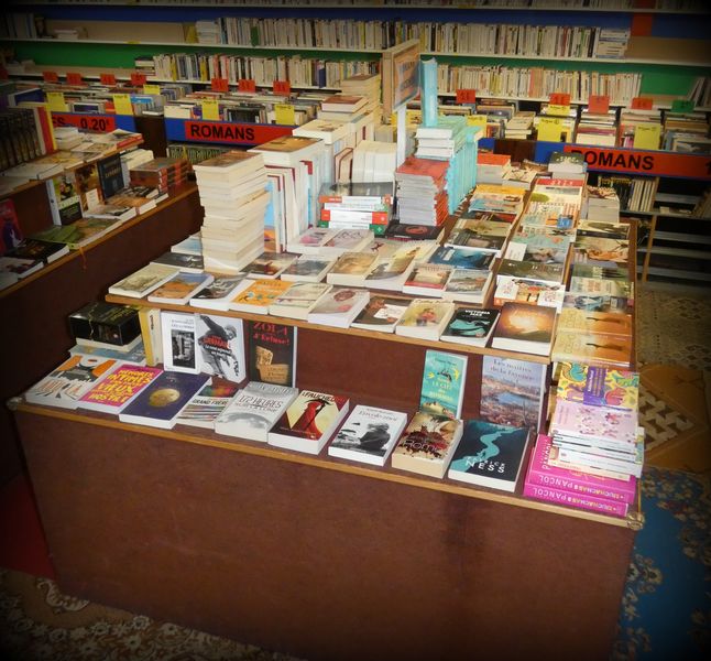 Romans / Policiers / Thrillers  Récents ou auteurs "tendance"